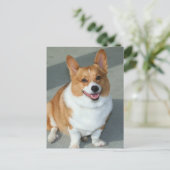 Welsh Corgi Briefkaart (Staand voorkant)