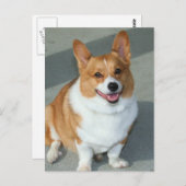 Welsh Corgi Briefkaart (Voorkant / Achterkant)