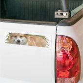 Welsh Corgi Bumpersticker (Op Truck)