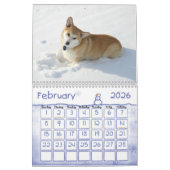 Welsh Corgi Calendar Kalender (Feb 2026)