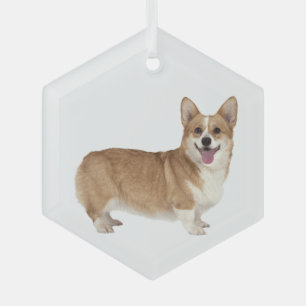 Welsh Corgi Dog Pet Animal Glass Ornament