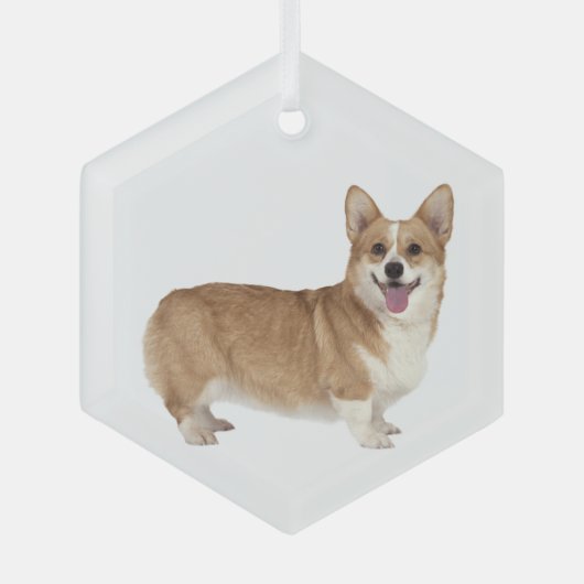 Welsh Corgi Dog Pet Animal Glass Ornament (Voorkant)