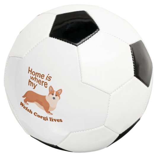 Welsh Corgi Home (3/4)