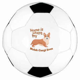 Welsh Corgi Home