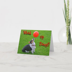 Welsh Corgi Note Card: Whad Up Dawg? Kaart