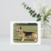 Welsh Corgi (Pembroke) Briefkaart (Staand voorkant)