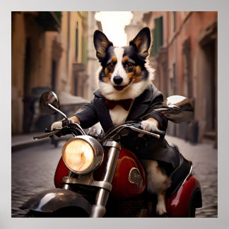 Welsh Corgi racen door de straten van Rome op een Poster