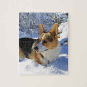 Welsh Corgi Snow Day Legpuzzel