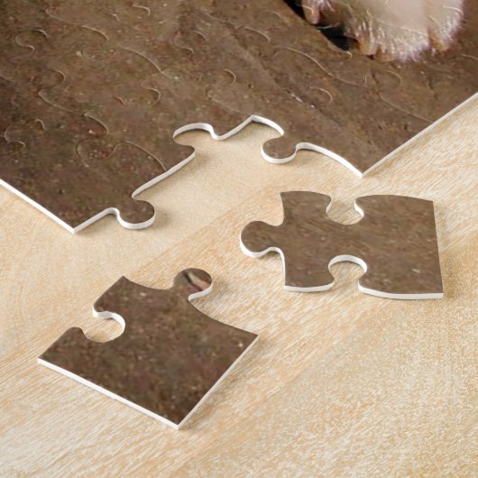 Welsh Corgis Puzzle (Côté)