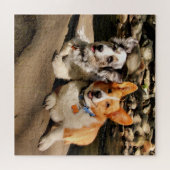 Welsh Corgis Puzzle (Horizontal)