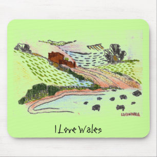 Welsh Countryside Muismat