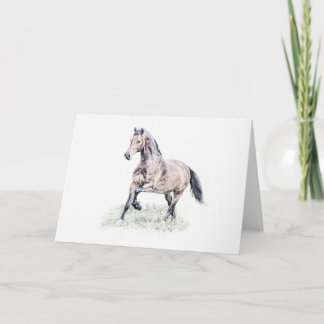 Welsh D Horse Birthday Card Kaart