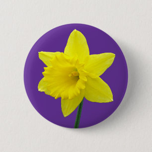 Welsh Daffodil - II Ronde Button 5,7 Cm