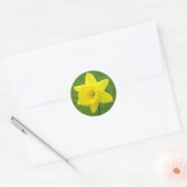 Welsh Daffodil Ronde Sticker (Envelop)