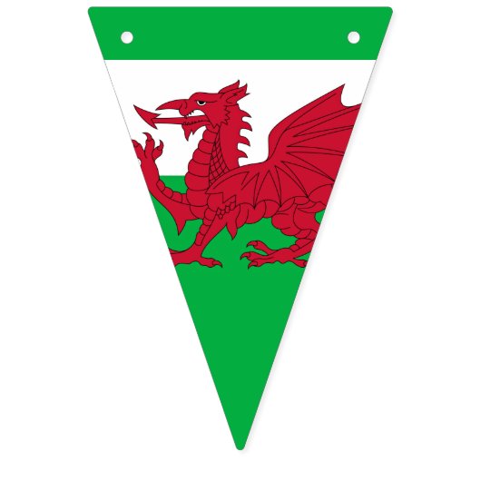 Welsh Dragon ~ Flag of Wales Vlaggetjes (Eerste vlag)