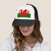 Welsh Dragon Flag Trucker Pet (In situ)