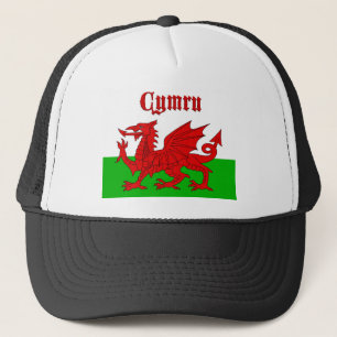 Welsh Flag Cymru Trucker Pet