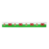 Welsh flag lint (Voorkant)