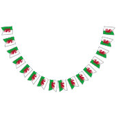 Welsh Flag & Party Wales Banners / Cymru Weddings (Alle)