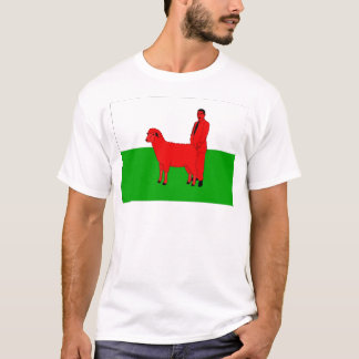 Welsh Flag Spoof T-Shirt