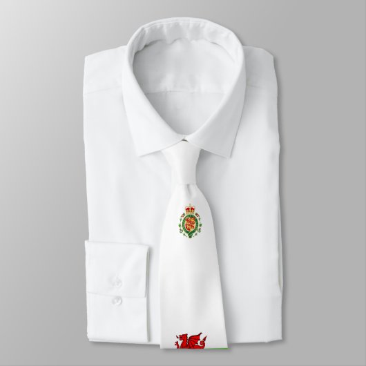 Welsh flag stropdas (Gebonden)