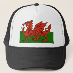 Welsh Flag Trucker Pet