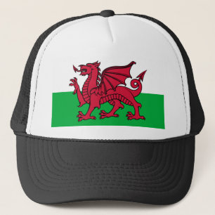 Welsh flag trucker pet