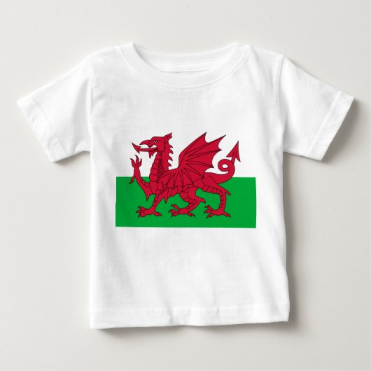 Welsh Flag (Wales) (Welsh Dragon) (Voorkant)