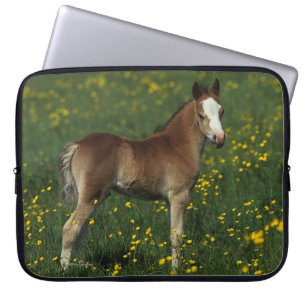 Welsh Foal Laptop Sleeve