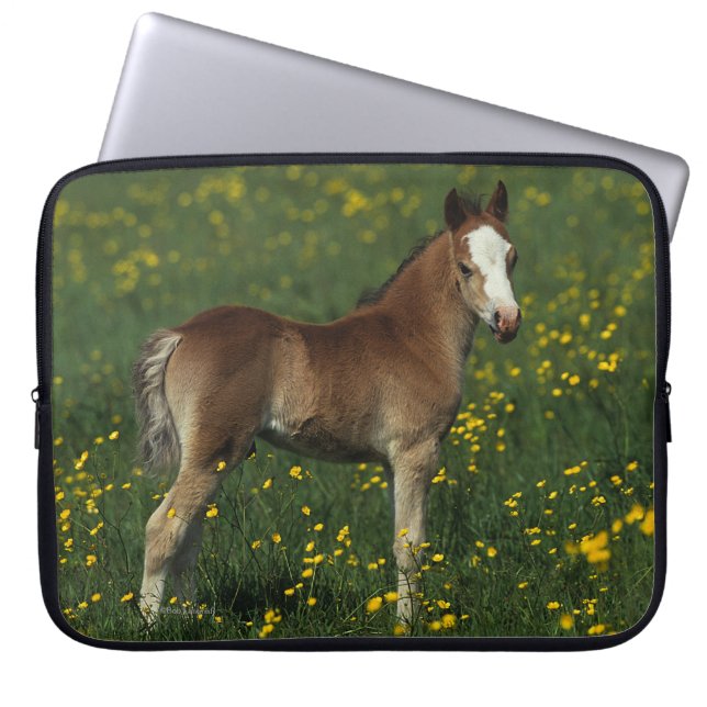 Welsh Foal Laptop Sleeve (Voorkant)