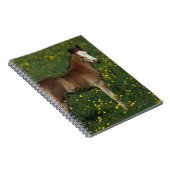 Welsh Foal Notitieboek (Rechterzijde)