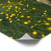 Welsh Foal Poster (Hoek)