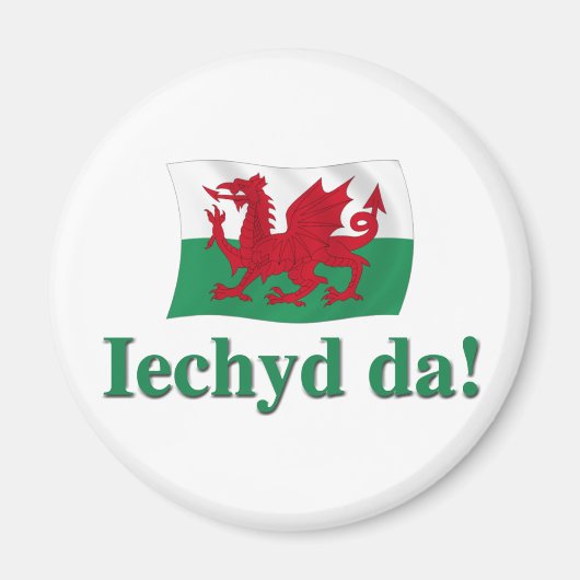 Welsh Iechyd da (Proost!) Magneet (Voorkant)