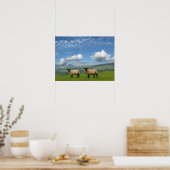 Welsh Lambs Poster (Keuken)