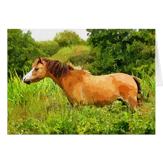 WELSH MOUNTAIN PONY Kaart (Voorkant Horizontaal)