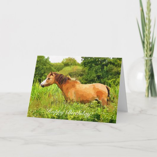 WELSH MOUNTAIN PONY KAART (Voorkant)