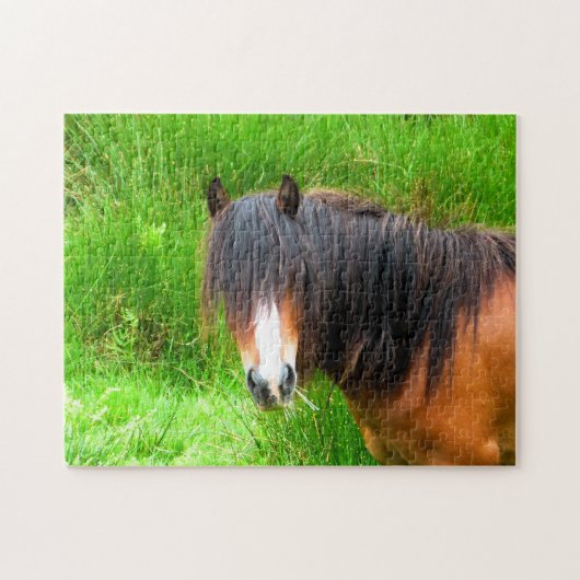 WELSH MOUNTAIN PONY LEGPUZZEL (Horizontaal)