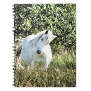 WELSH MOUNTAIN PONY NOTITIEBOEK