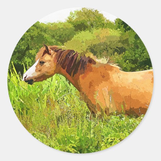 WELSH MOUNTAIN PONY RONDE STICKER (Voorkant)