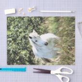 WELSH MOUNTAIN PONY TISSUEPAPIER (Craft)