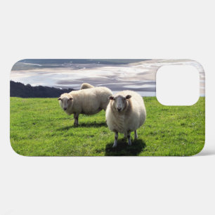WELSH MOUNTAIN SHEEP iPhone 12 HOESJE