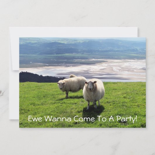 WELSH MOUNTAIN SHEEP KAART (Voorkant)