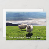 WELSH MOUNTAIN SHEEP KAART (Voorkant / Achterkant)