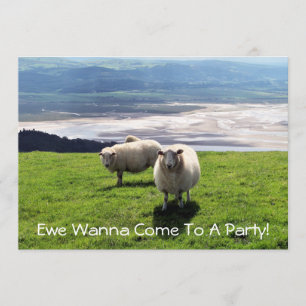 WELSH MOUNTAIN SHEEP KAART