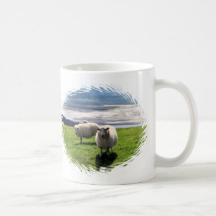 WELSH MOUNTAIN SHEEP KOFFIEMOK