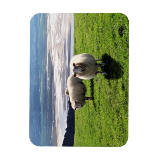 WELSH MOUNTAIN SHEEP MAGNEET (Verticaal)
