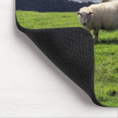 WELSH MOUNTAIN SHEEP MUISMAT (Hoek)