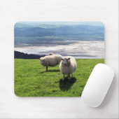 WELSH MOUNTAIN SHEEP MUISMAT (Met muis)
