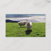 WELSH MOUNTAIN SHEEP VISITEKAARTJE (Voorkant)