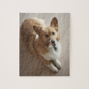 Welsh Pembroke corgi dog die op de houten vloer li Legpuzzel